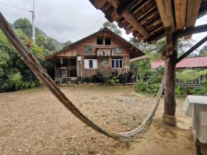 Отель Cabaña La Isla  Хардин